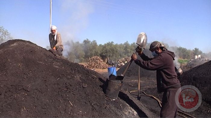 الحطاب- 45 عاما في صناعة الفحم بغزة