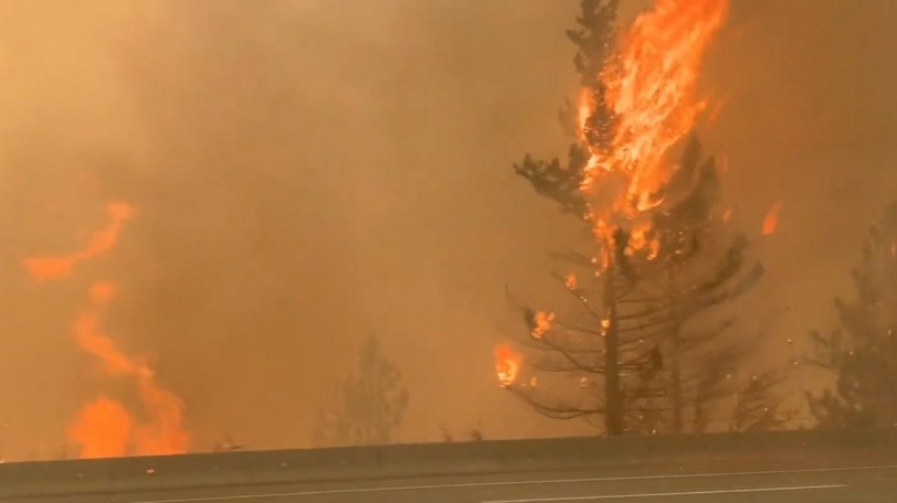 719 وفاة و130 حريقا.. كندا تشهد موجة حر غير مسبوقة (صور)