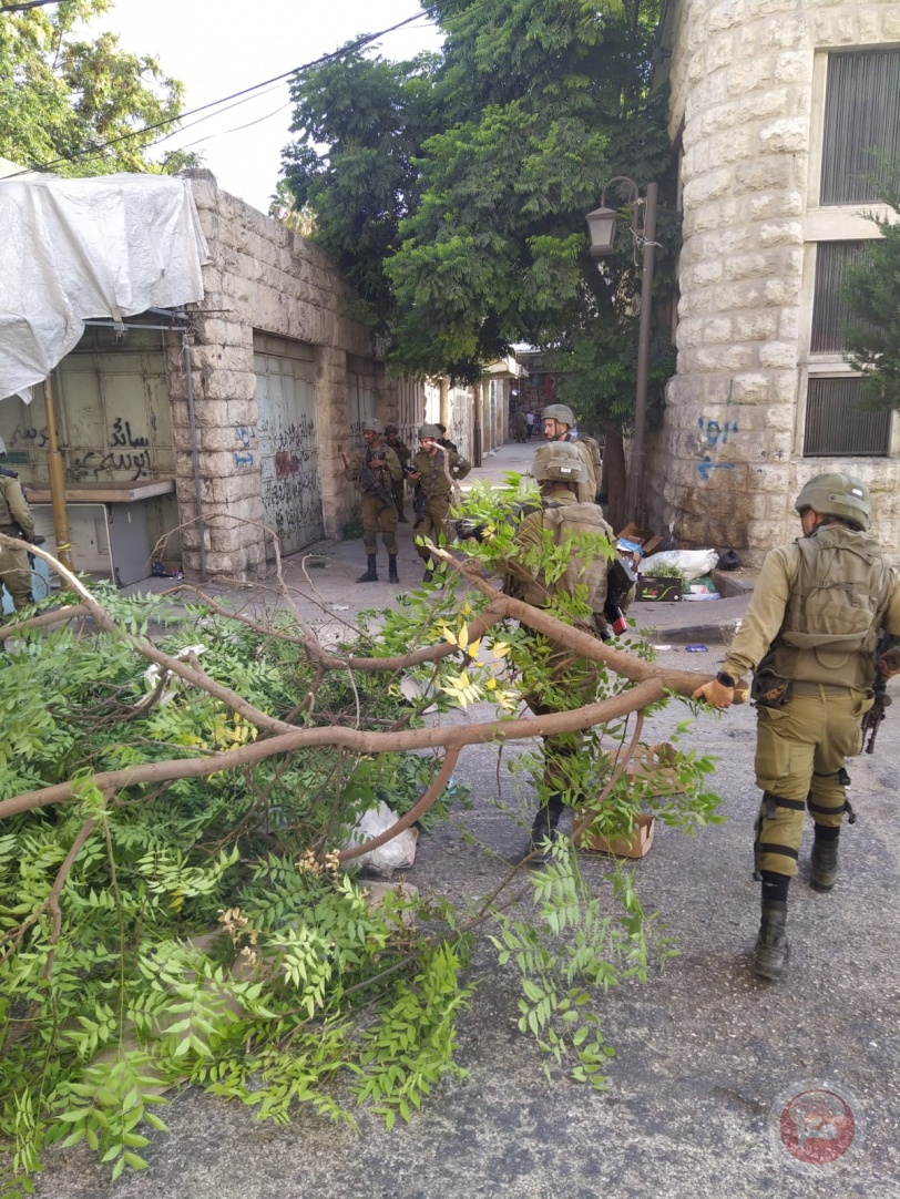 صور- جنود الاحتلال يحتجزون اطفال ويقطعون اشجار زينة في الخليل