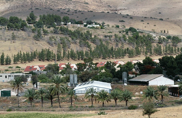 The occupation army issues a decision to seize lands in the Jordan Valley