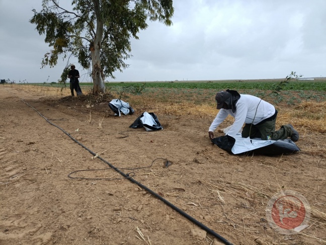 Israel completes the "security afforestation" project  On the Gaza border