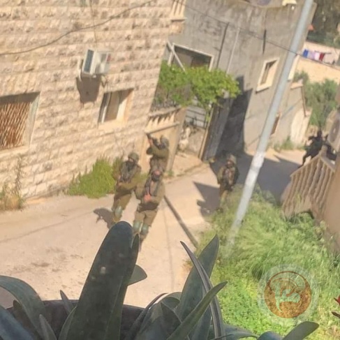 The occupation forces stormed the home of the perpetrators of the "Elad" operation