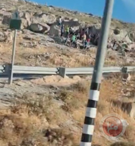 Settlers attack shepherds in Masafer Yatta