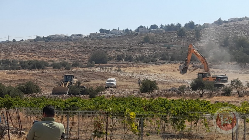 The occupation bulldozed 12 dunums and destroyed olive trees east of Tarqumiya