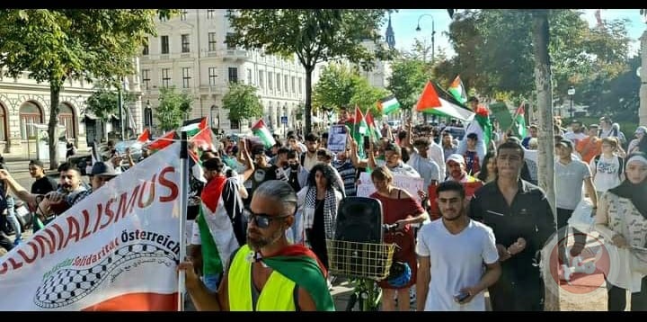 Mass rally in Vienna in support of the Palestinian people