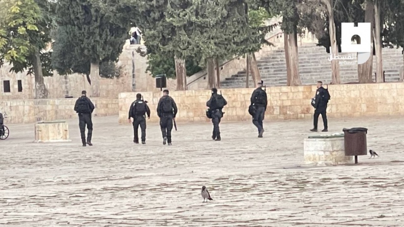 The occupation storms Al-Aqsa and settlers carry out provocative tours between its gates