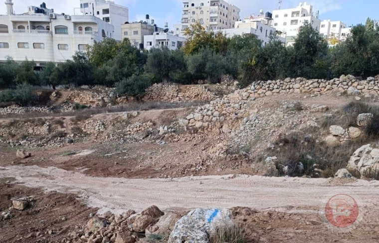 Hebron Municipality condemns settler attacks on citizens' lands and municipal property
