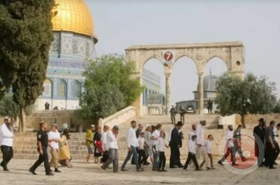 Hamas condemns the settlers' continued storming of Al-Aqsa Mosque