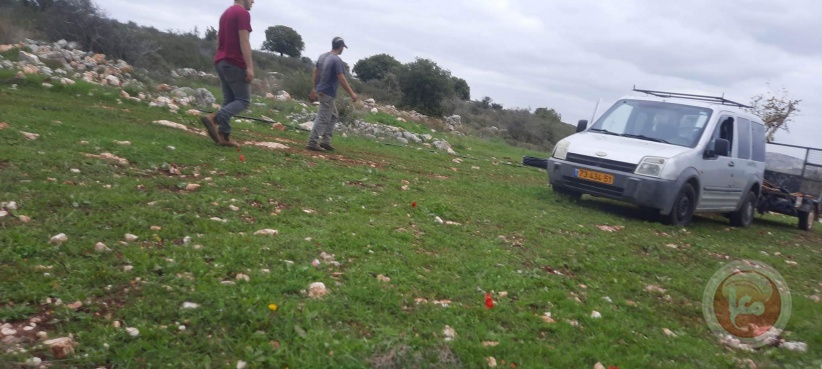 Settlers attack citizens' lands west of Salfit