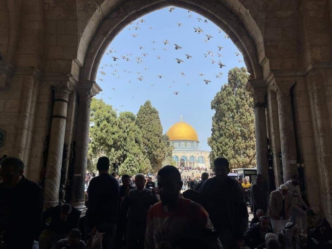 To expel the believers from Al-Aqsa - the occupation forces stormed Al-Qibli Mosque