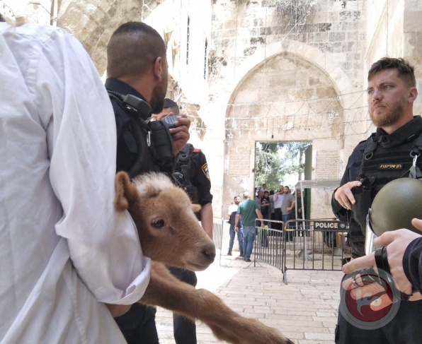 Settlers trying to bring in "Qurban"  to Al-Aqsa Mosque