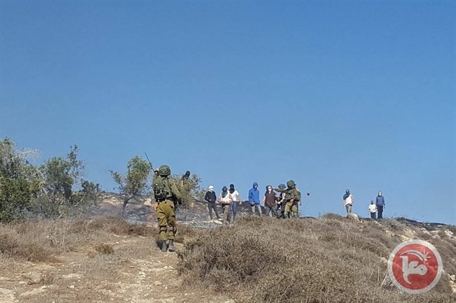 Settlers attack citizens' homes in Burin