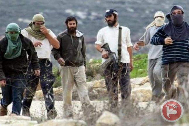 A minister in the occupation government calls on settlers to take up arms and kill Palestinians